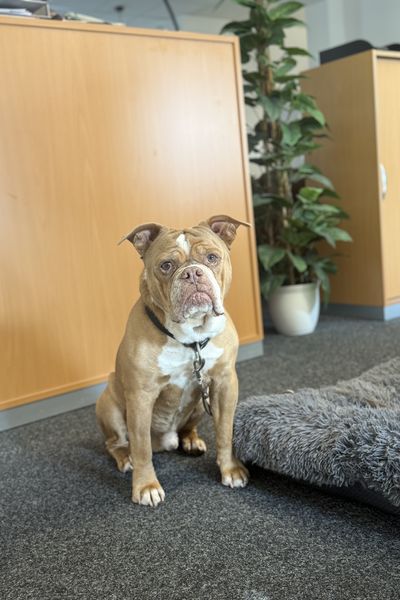 Luke - Türsteher und Ansprechpartner für 